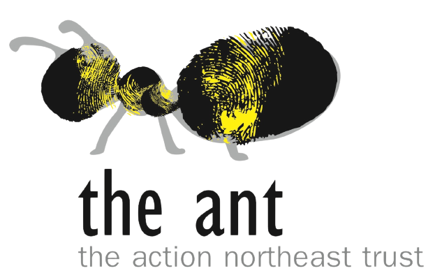the ant logo