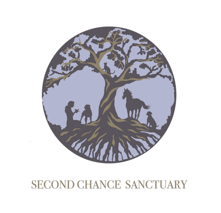 Second Chance Sanctuary