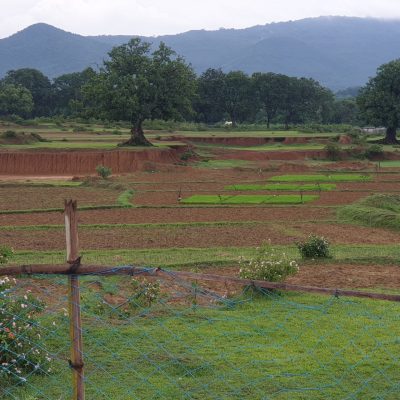 in wait of the monsoons - Aaditeshwar Seth