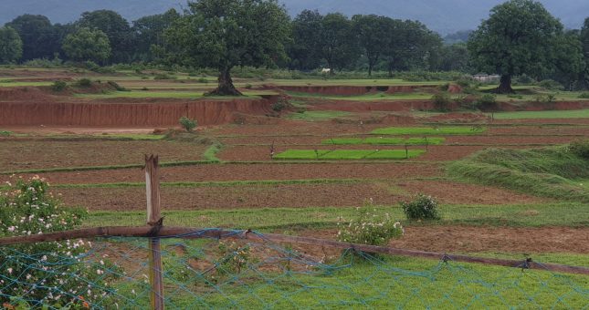 in wait of the monsoons - Aaditeshwar Seth